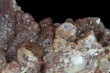 4.3" Natural, Red Quartz Crystal Cluster - Morocco - #131353-2